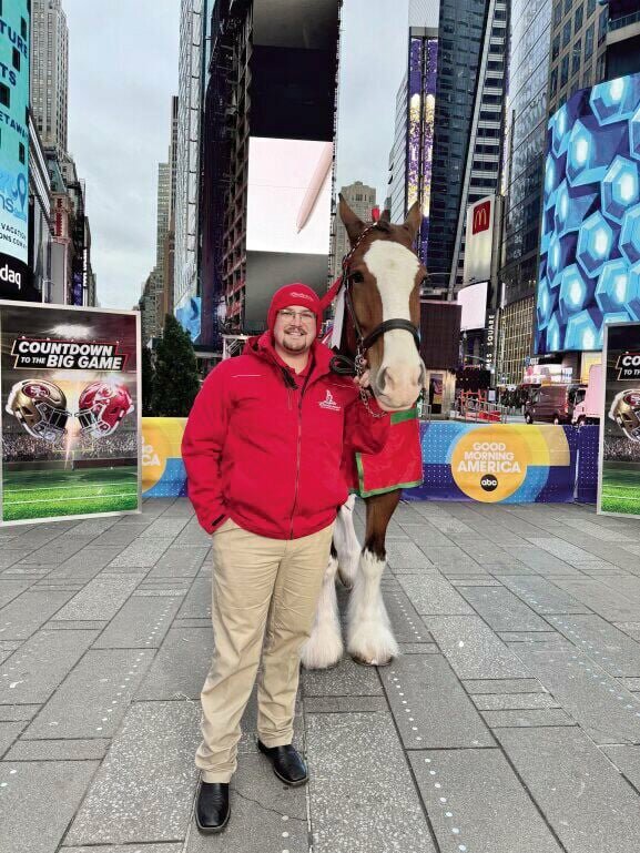 Budweiser Clydesdales Ad Returns To Super Bowl Lviii Star Journal