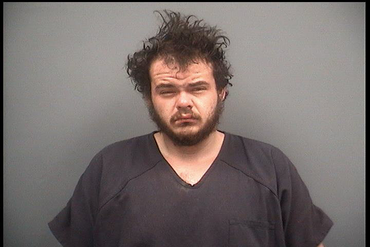 On 01/26/2022, 26-year-old Brandon Thomas Sayles of Evart was arraigned in 80th District Court by magistrate Worpell on the charges of Weapons &ndash; possess by Felon / Felonious Assault / Police Officer fleeing 4th / Police Officer &ndash; Resist &amp; Obstruct / No Security / Malicious Destruction of Property / Unregistered Vehicle / Throwing Objects, set forth by Clare County Prosecutor Michelle Ambrozaitis. Bond was set at $130,000 Cash/Surety, 10 %. Sayles remains lodged in the Clare County Jail.