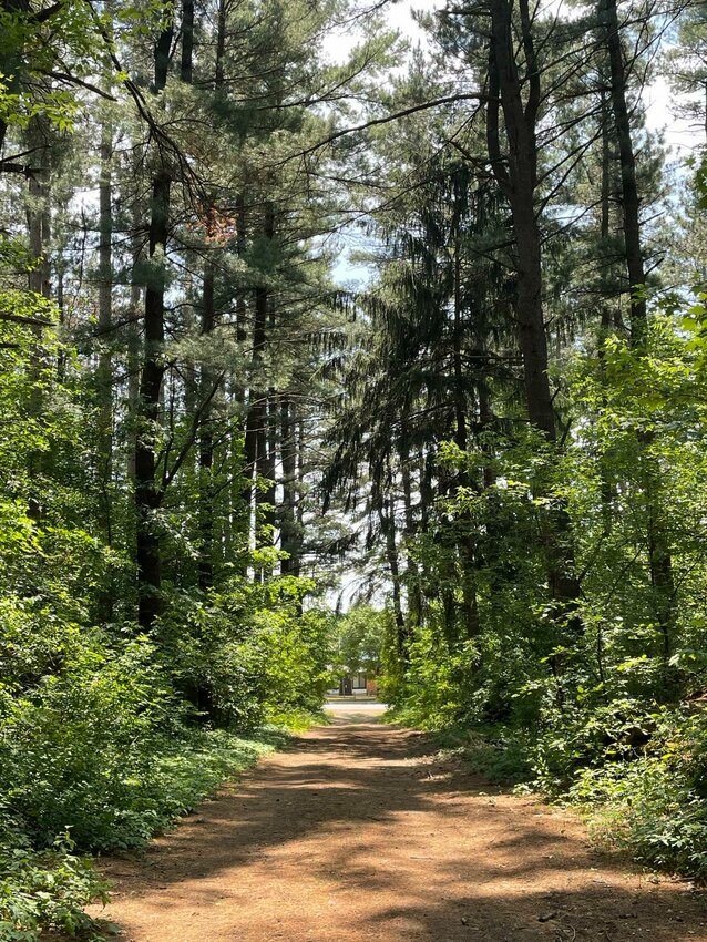 A beautiful walking trail in the 12-acre forest near the Farwell School will soon see some changes as part of the school&rsquo;s Forest Stewardship Plan.