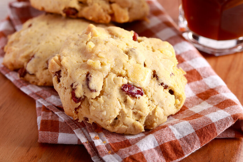 Homemade white chocolate and cranberry cookies