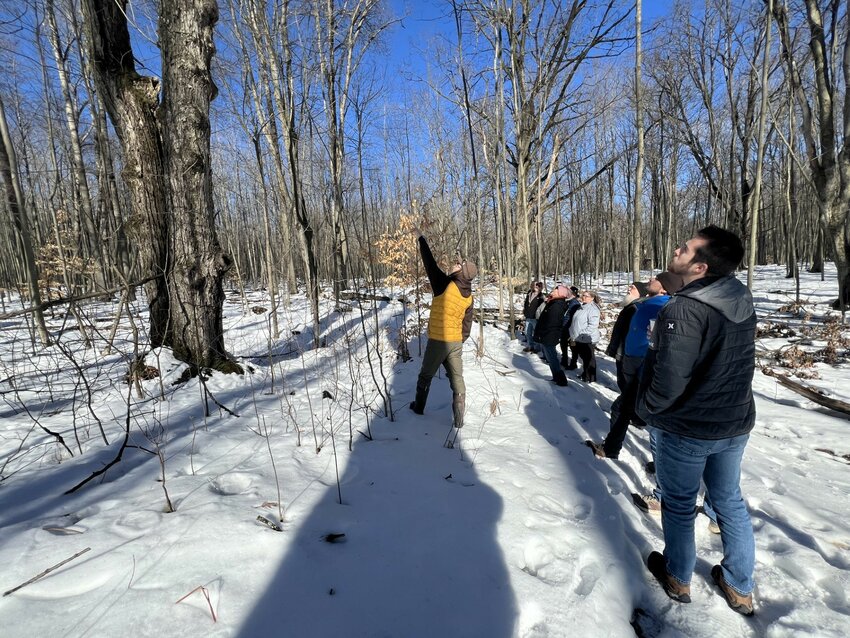 Joe Nash leads a group of approximately 15 community members at his Feb. 2 winter tree identification hike.