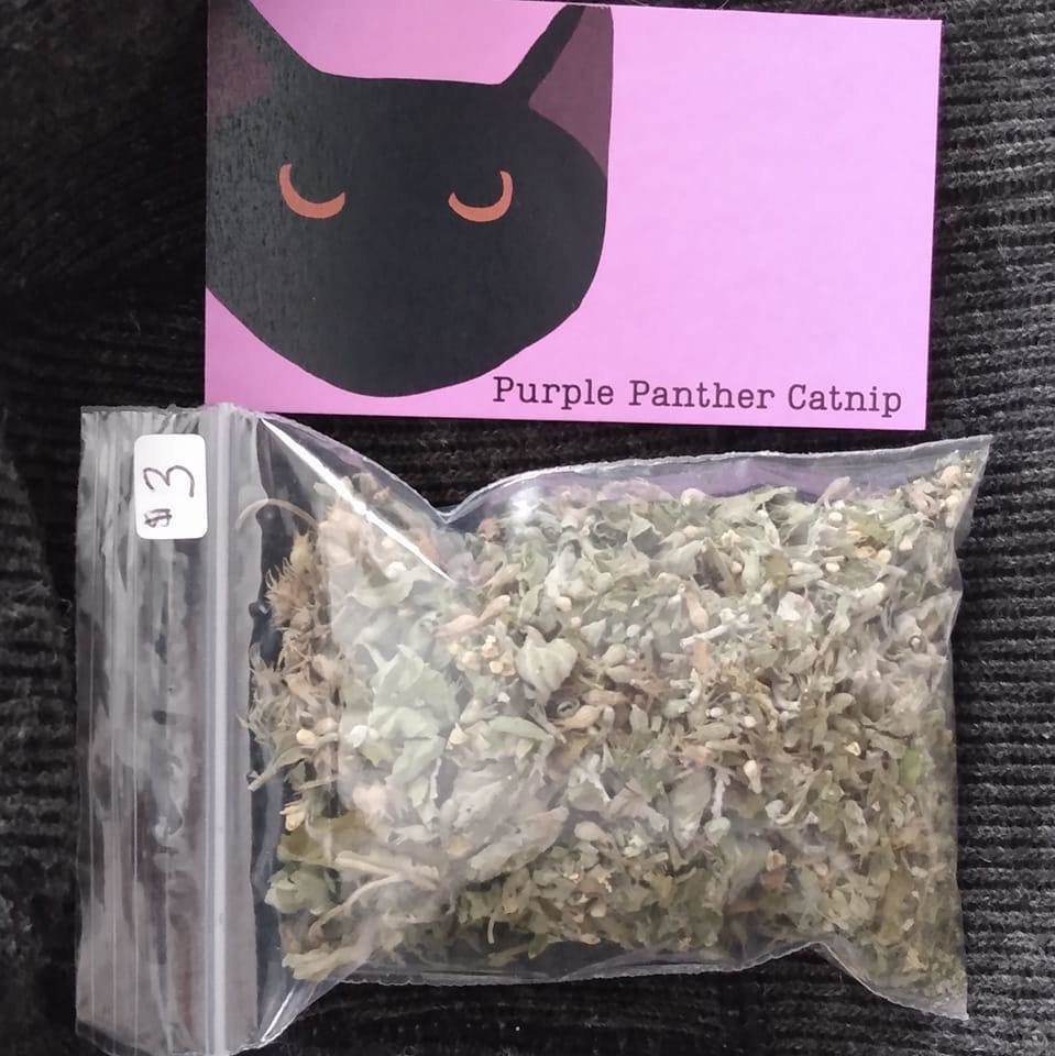 Purple Panther Catnip