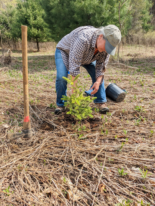 A volunteer plants a tree at the 2023 Love Where You Play day at Lime Hollow Nature Center. The event returns Saturday, this time with live music.