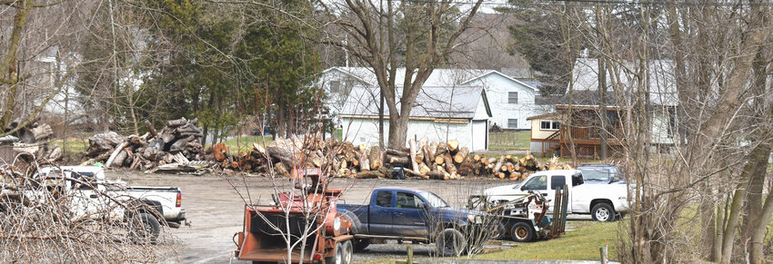 The Cortlandville Zoning Board of Appeals denied Carter's Tree Service's application to use commercially a residentially zoned parcel on Route 215, where the company intended to store vehicles, equipment and lumber. Pictured is the lot. Behind it stands a neighborhood of homes.