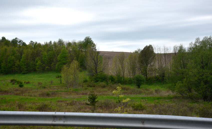 The Cortland County Industrial Development Agency and Business Development Corp. plans a public hearing on a proposed 5-megawatt solar facility at this site off Route 215 in Cortlandville.