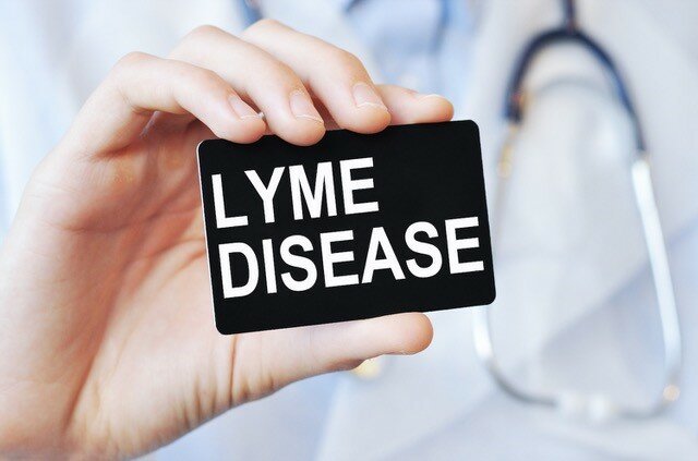 Lyme disease and anaplasmosis are spread by black-legged deer ticks that have expanded their range in upstate New York. Ticks are active any time the temperature is above 30 degrees and there is no snow cover. After you have been hiking in brushy areas, check yourself and your family for ticks.