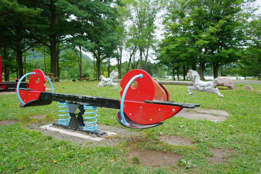 While Cortland County legislators consider upgrades to the Dwyer Memorial Park playground, volunteers help keep what they can fresh. Legislator Linda Jones (R-Homer), who has been a driving force behind many updates at the park, has a volunteer lined up to repaint the seesaw horses this summer.