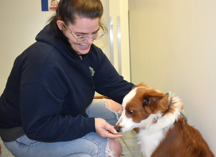 Stacy Mitchell, chief law enforcement officer of the Cortland Community Society for Prevention of Cruelty to Animals, plays with a dog Friday. After announcing the agency would close its shelter next year, the SPCA pivoted and said it will reorganize to stay open.