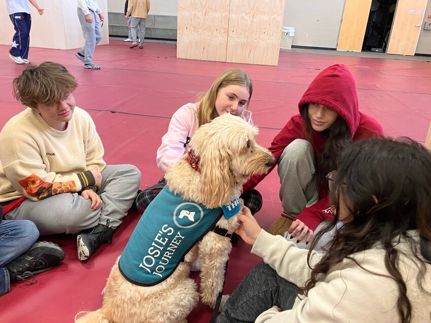 Josie’s Journey brings therapy dogs in junior and senior high schools.