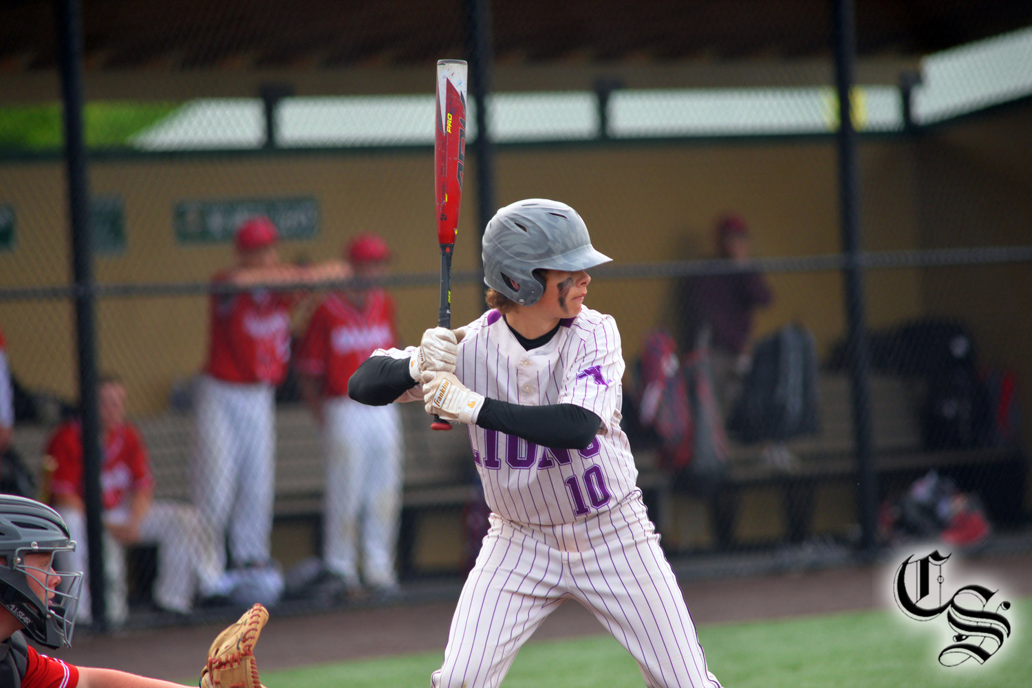 Dryden’s Brody Casterline prepares to take a swing last season. Casterline is one of the returning contributors from last year’s IAC championship team and will look to continue that success.