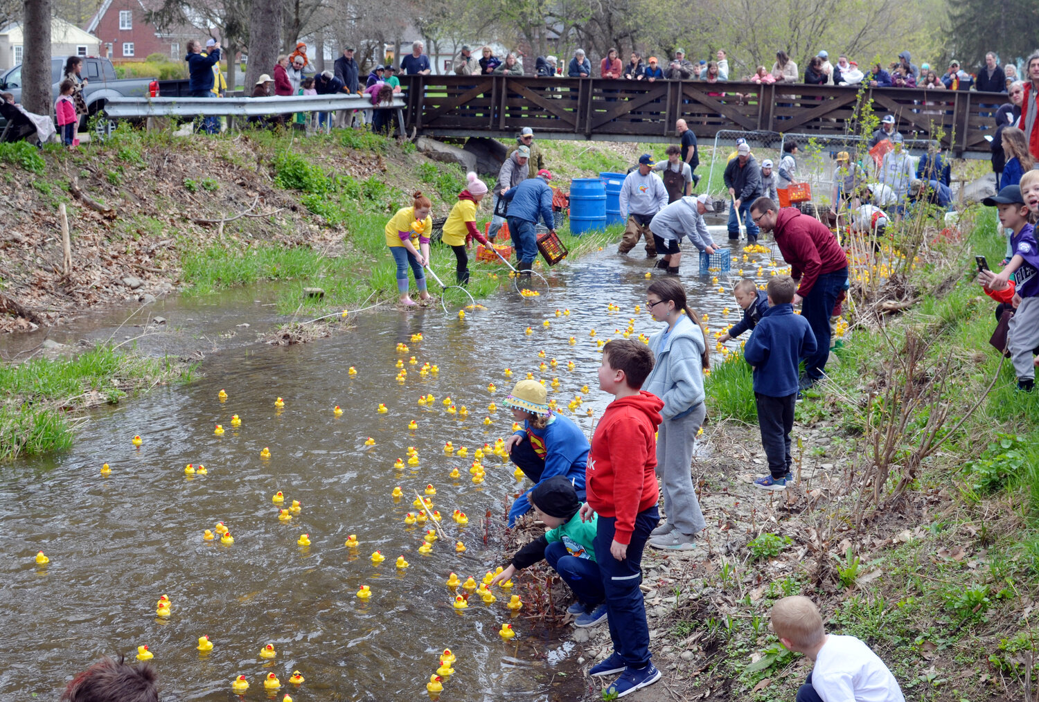 Rubber ducks make their way toward the finish line at the Corn Ducky Derby in 2022 at Suggett Park in Cortland. The event returns Saturday.