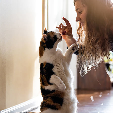 4 Ways to Connect with Your Cat