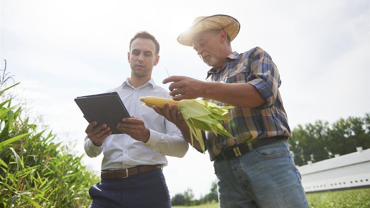 Agriculture insight: Major players nurture innovation by supporting startups
