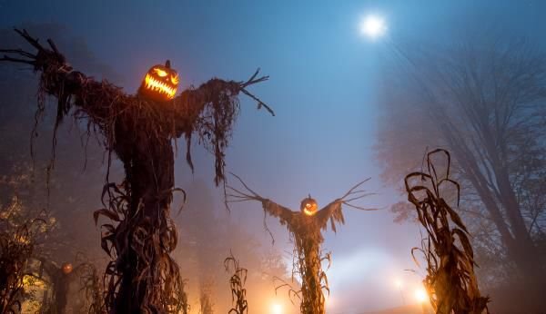 Where to Get Haunted and Spooked This Halloween Season