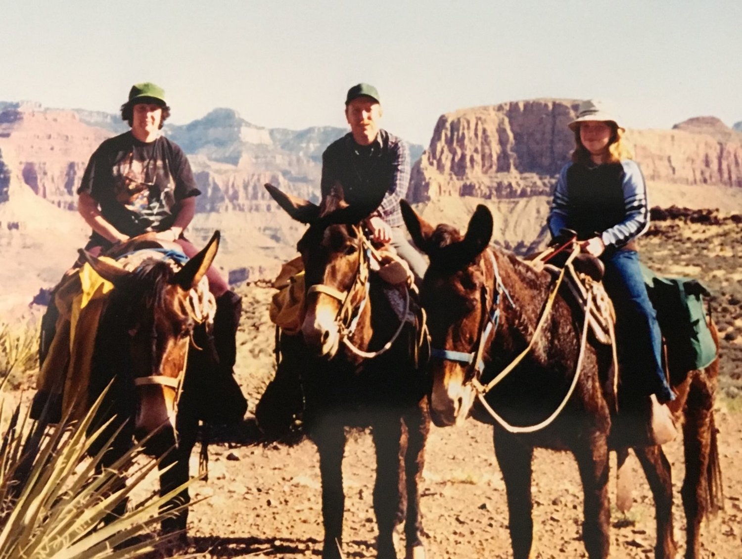 Judy, Gary and Tasha ride mules in the Grand Canyon. 