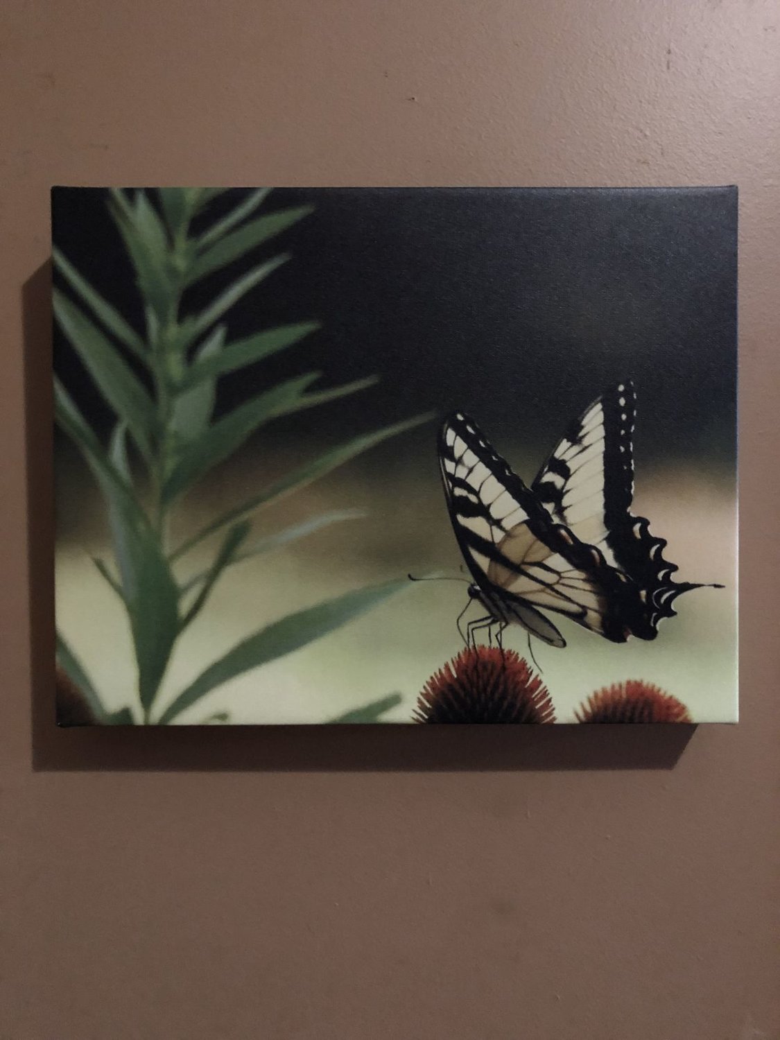 Canvas Butterfly.jpg