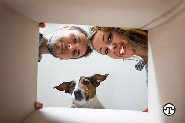 With proper preparation, your pets will be able to handle a household move with ease. (NAPS)