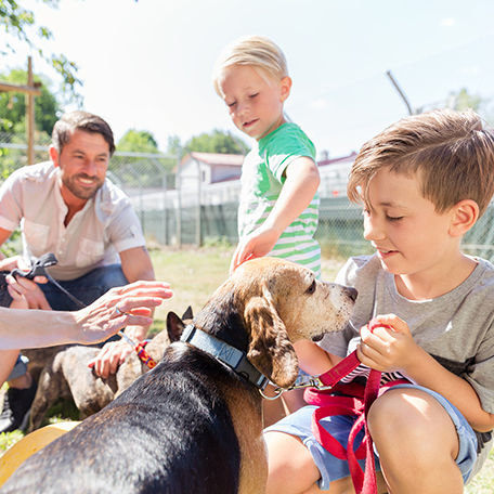 3 Ways Pet Adoption Can Be a Win for All