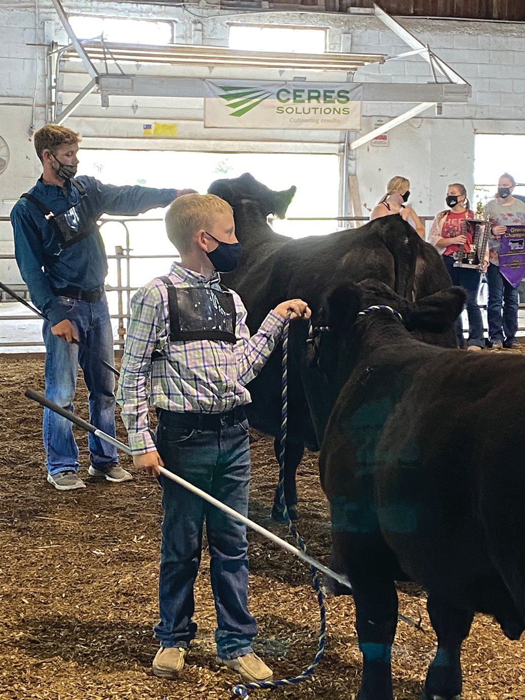 Colby Coon, left, and Kelby Coon show a momma heifer and her calf during the Cow/Calf Pair show at the 2020 Montgomery County 4-H Fair.