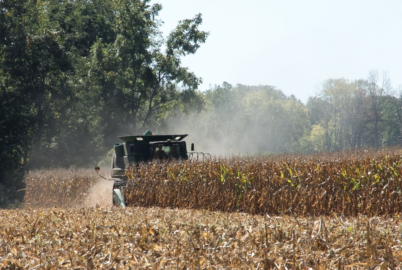 A farmer harvests his corn field near County Road 150 South.