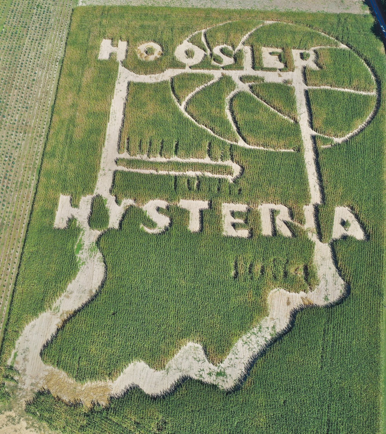 Oak Hill Tree Farm and Pumpkin Patch honors Indiana High School Basketball with their 2020 corn maze, which celebrates Hoosier Hysteria over the last 110 years. Oak Hill Tree Farm is located at 493 W Oak Hill road in Crawfordsville. The corn maze opens on Saturday.
