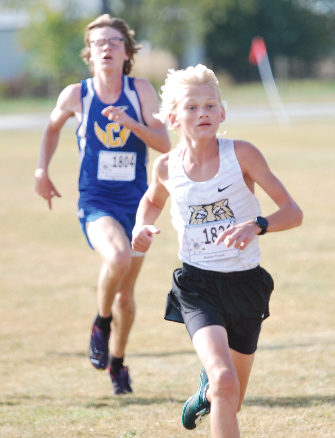 Crawfordsville's Hunter Hutchison paced the county pack with a 6th place finish at the Sagamore Conference meet on Saturday.