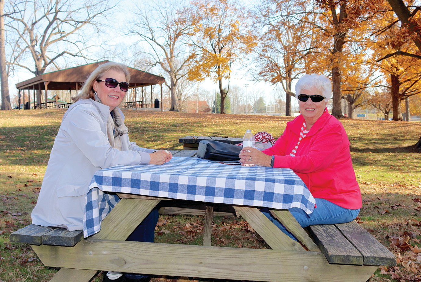Kathy Evans, left, and Carole Huckstep meet for a reuinion after more than a year apart Friday for lunch at Milligan Park. The pair worked together in the nursing departments at various Crawfordsville district schools for many years.