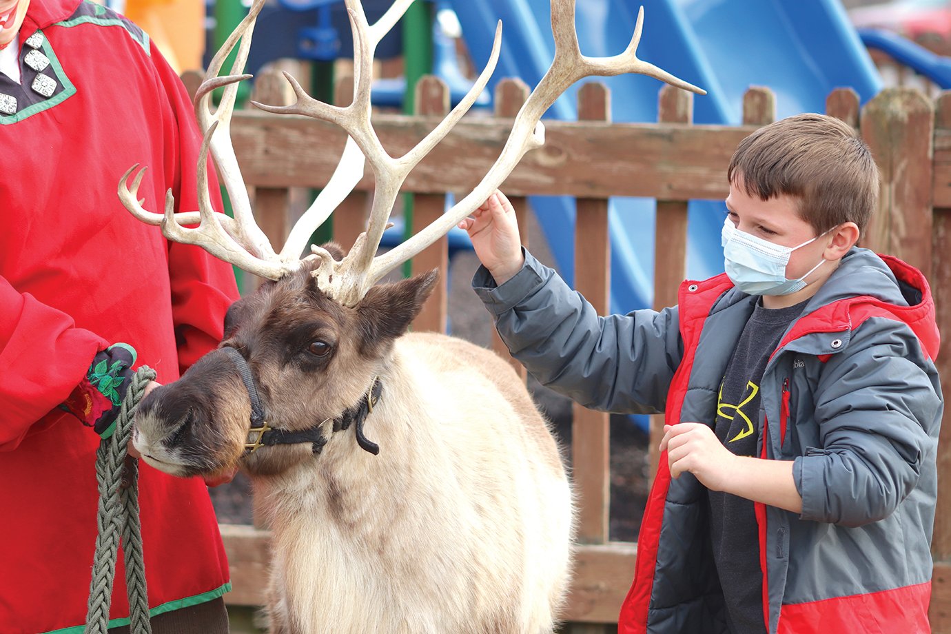 Brayden Leslie, second-grade student at Sommer, feels reindeer Clarice's antlers Friday during a Silly Safari event at the school. Nine-year-old Clarice has been visiting children her whole life, trainer Chris Hanson said, and even seemed to enjoy the interaction.