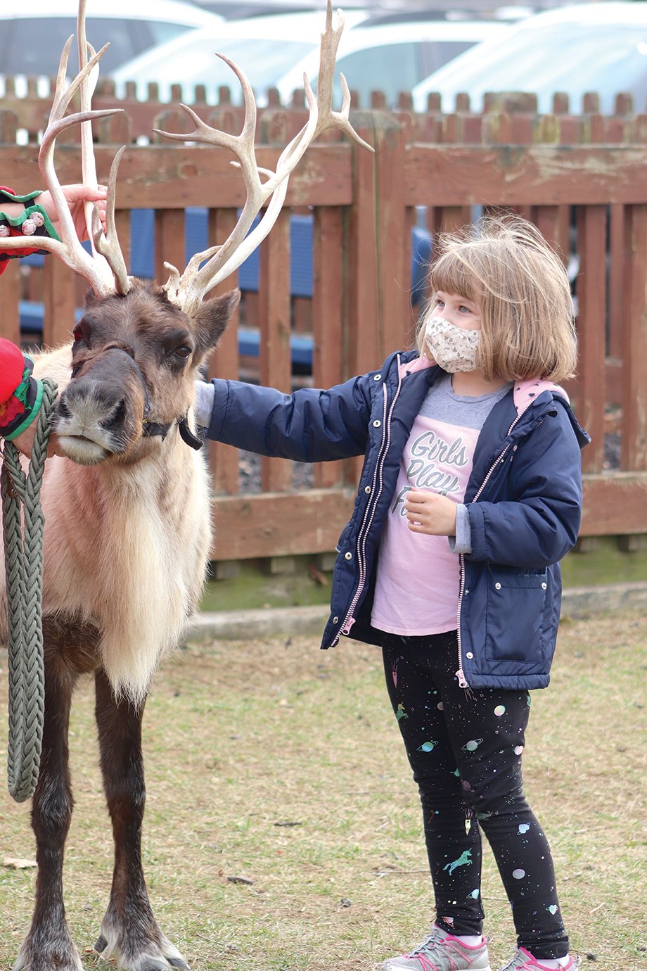 Sommer Elementary student Maiah Rathburn pushes through reluctant feelings to get up close to 9-year-old reindeer Clarice during a visit from Silly Safaris Friday afternoon.