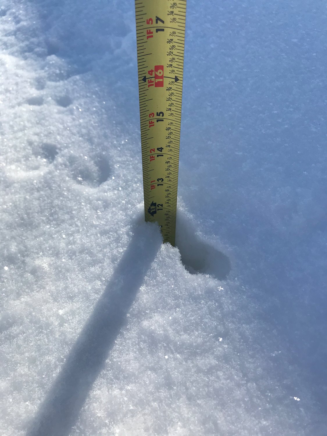 Almost a foot of measurable snow in New Market.