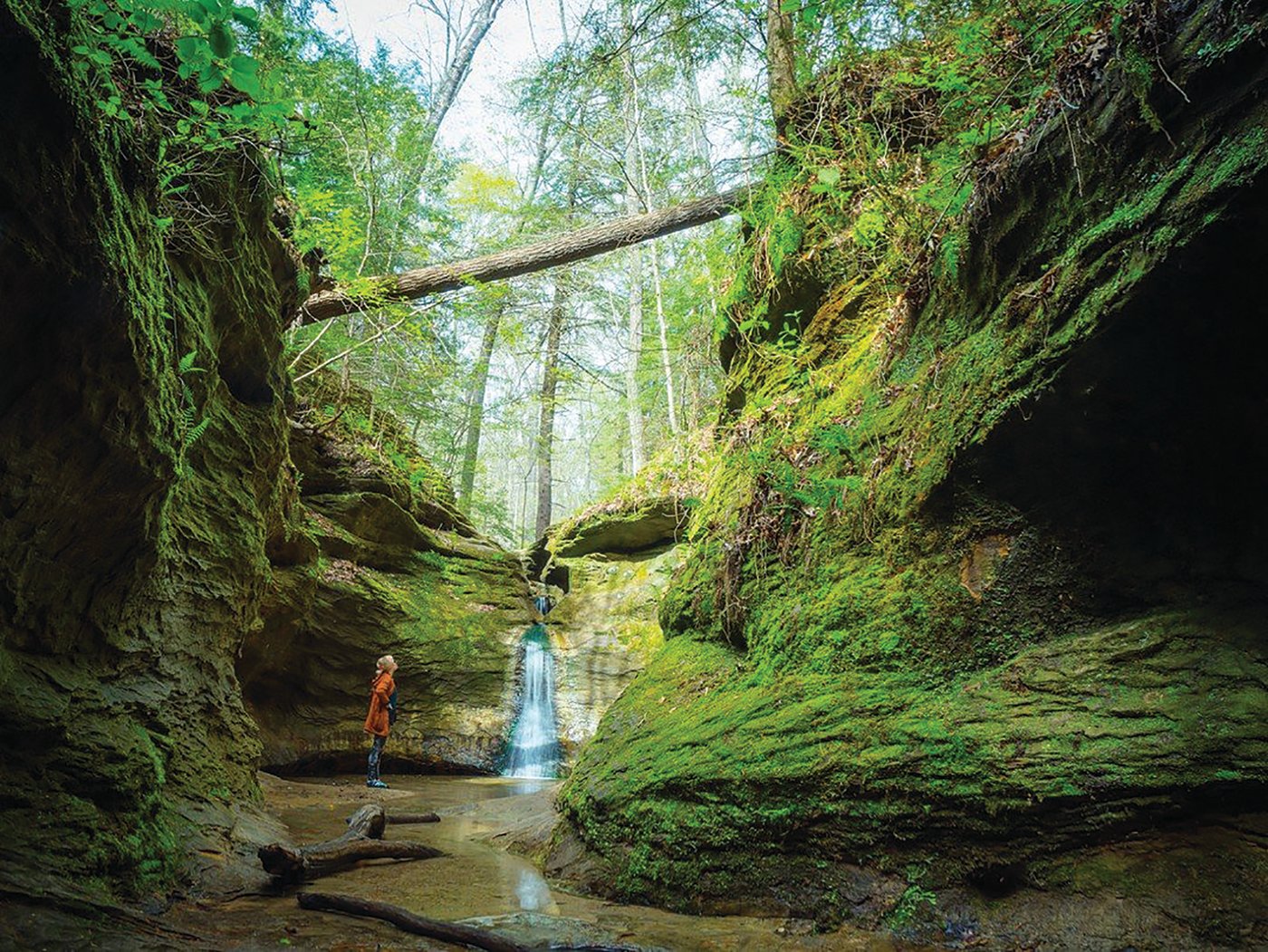 Pictured is Rocky Hollow-Falls Canyon Nature Preserve at Turkey Run State Park.