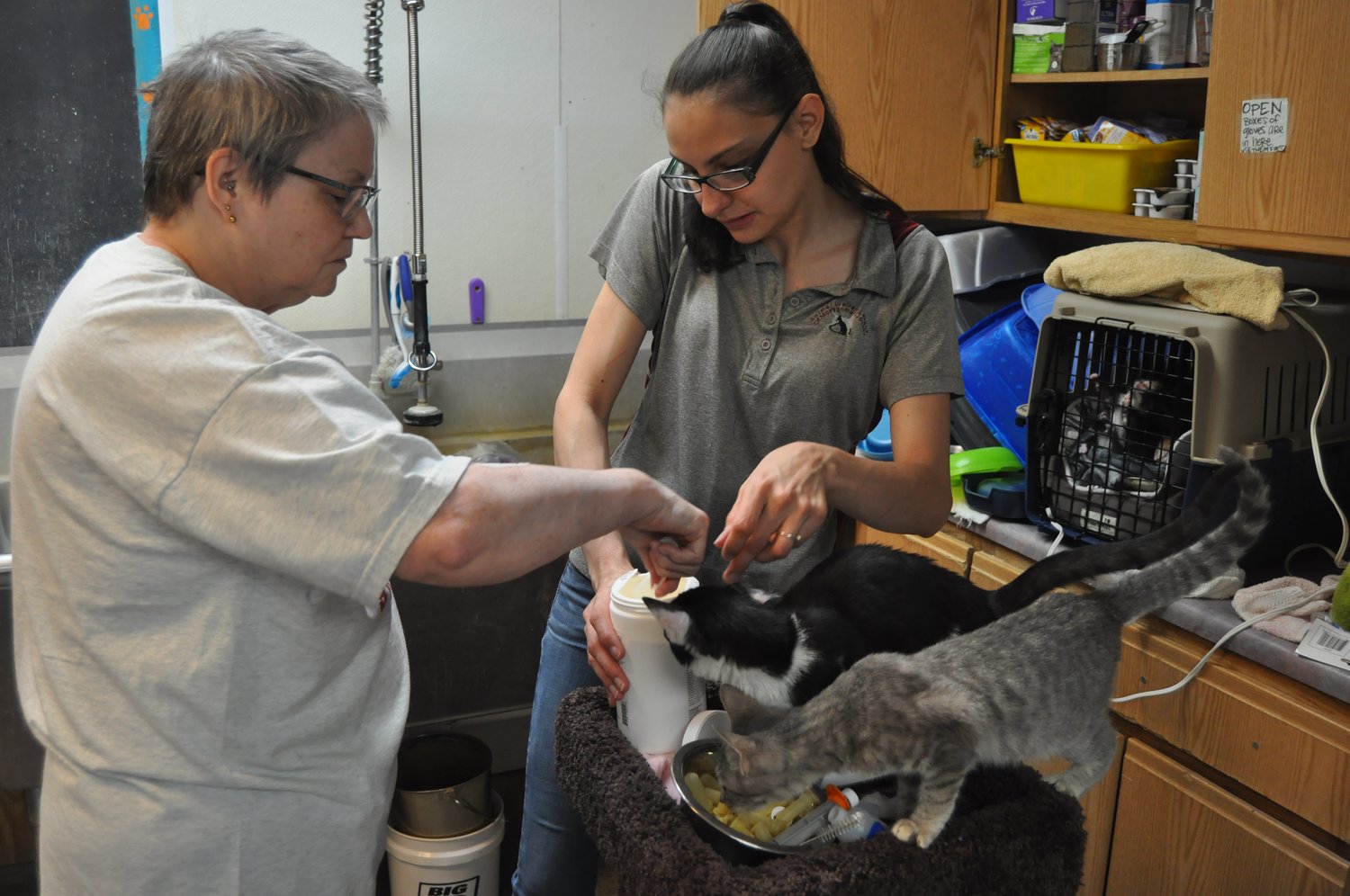 Terri Strong, left, scoops pet food with help from Destinee Phillips at the Animal Welfare League of Montgomery County Tuesday. AWL has launched a foster care program for the shelter