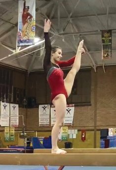 Southmont junior Brianna Heninger is the Gymnast of the Year.