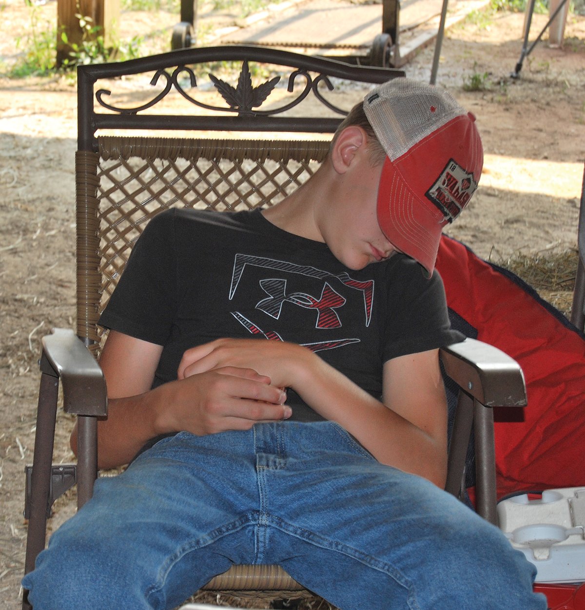 A 4-H kid takes a quick nap in the cow barn.