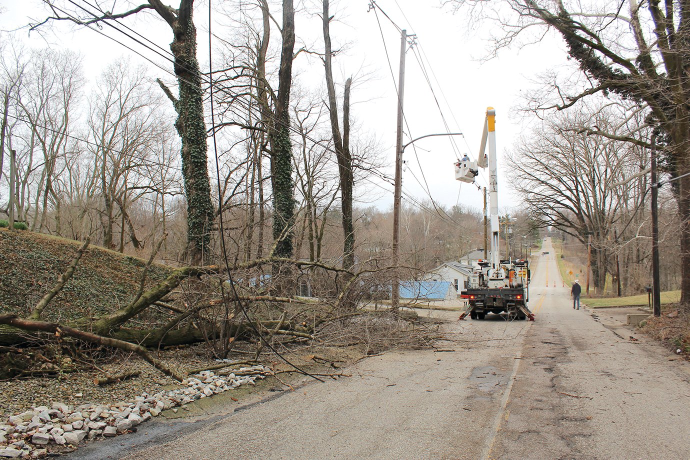 A large tree causing a major power outage for residents of Country Club Road and the west end of town is cleared by CELP crews Tuesday morning.