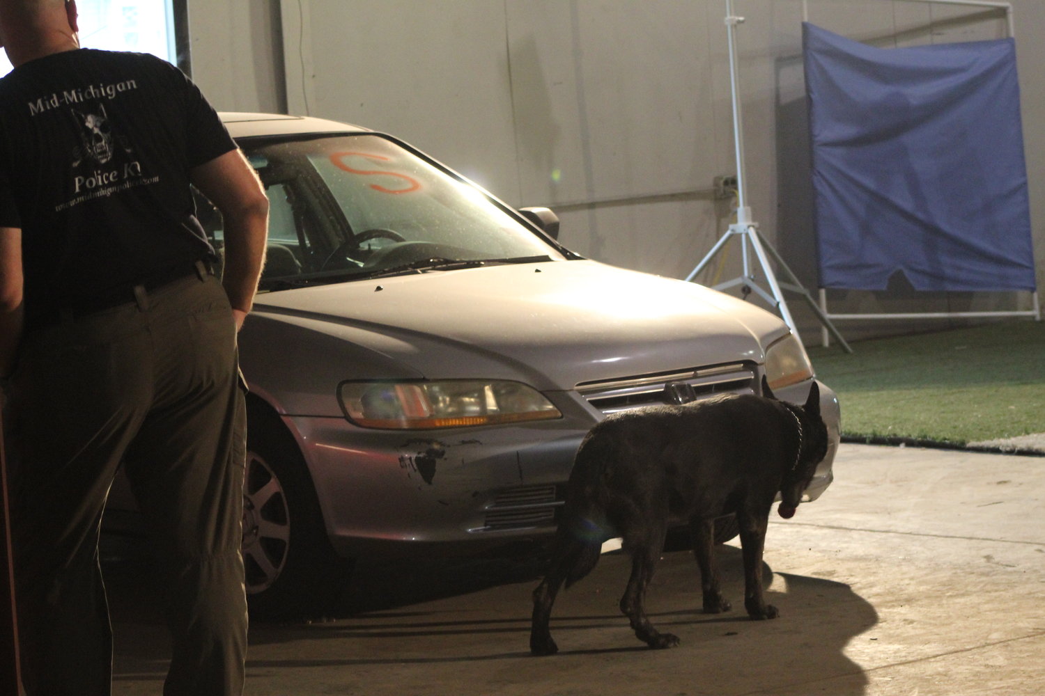 One of the dogs searches for hidden narcotics around and in a training vehicle.