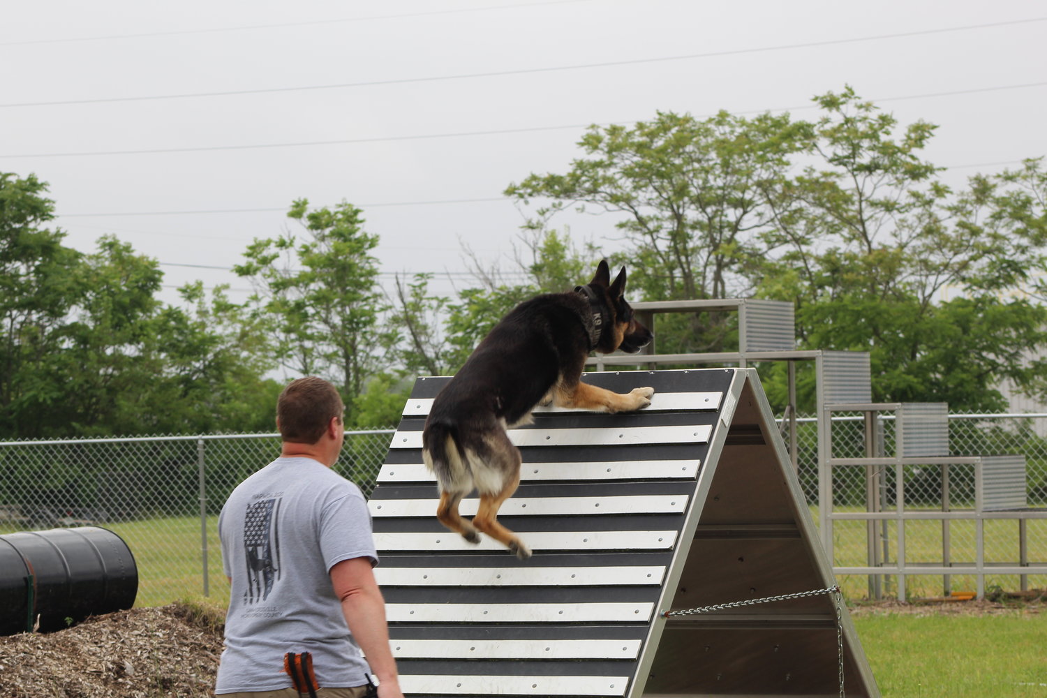 Crawfordsville Patrol Officer Michael Plant takes his dog Barrett through the agility course.