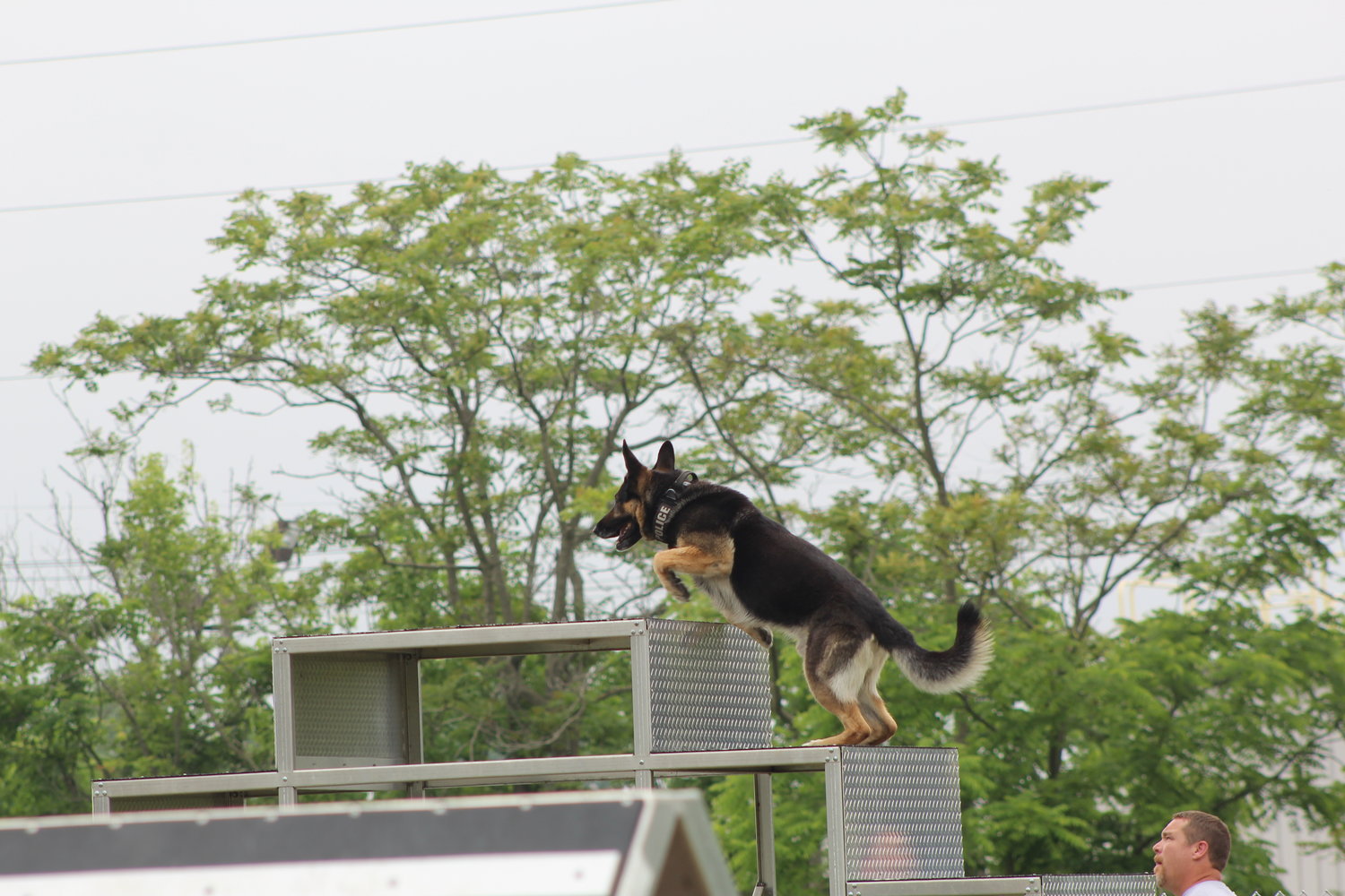 Crawfordsville Patrol Officer Michael Plant takes his dog Barrett through the agility course.