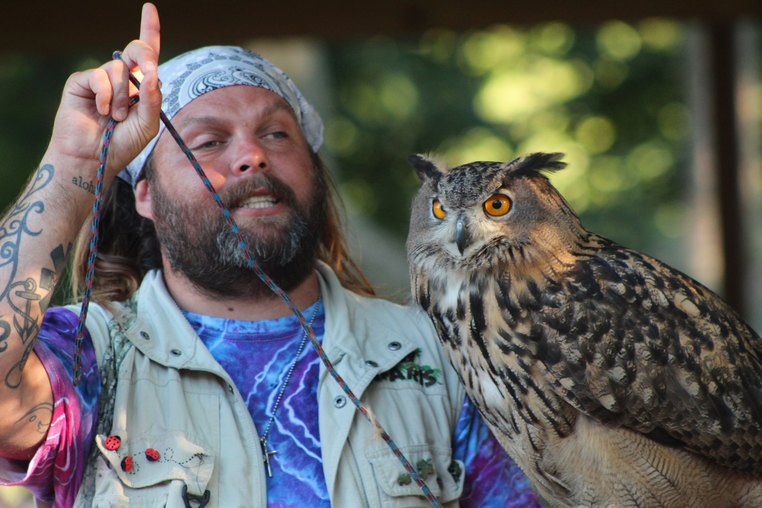 An owl perches on Ryan the Lion's arm during a Silly Safari show.