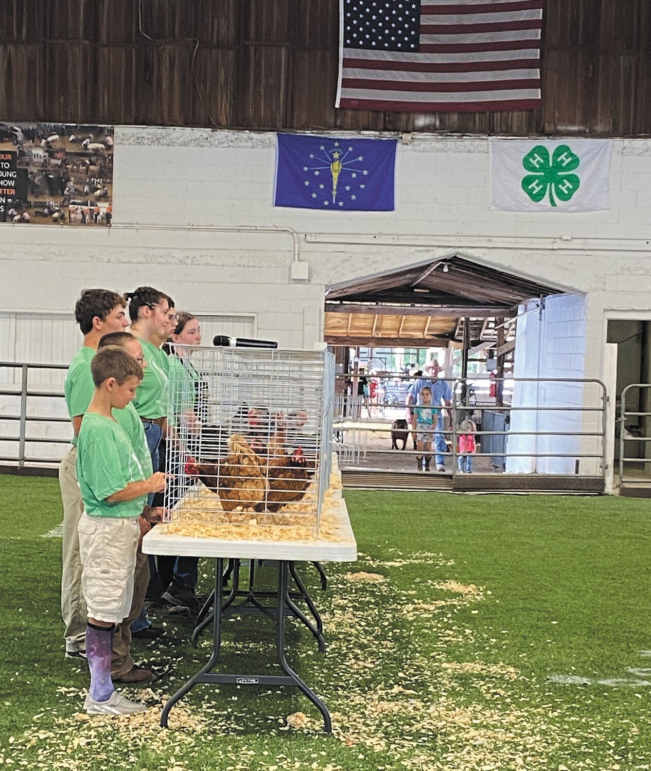 Poultry contest