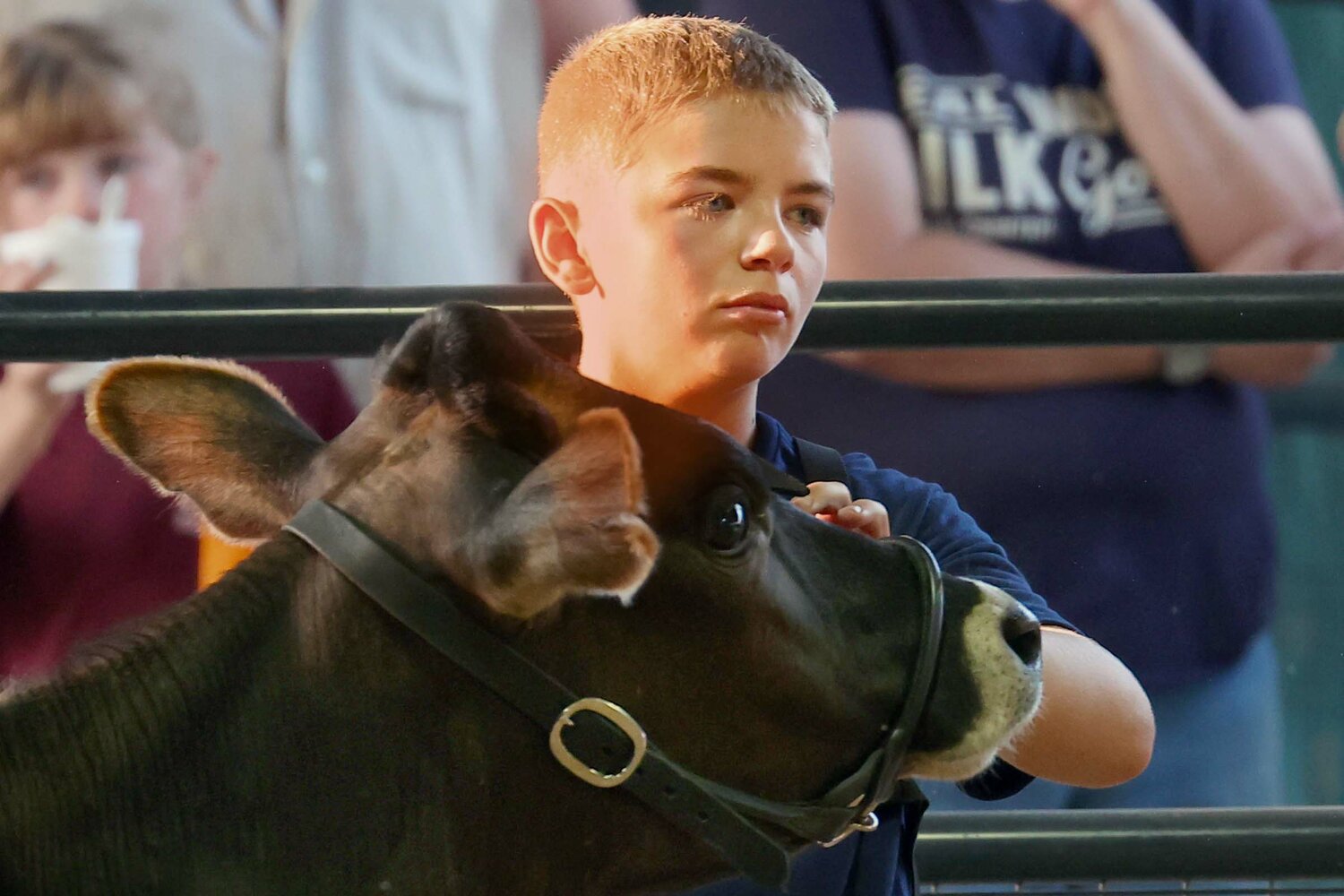 Dawson Bell of Colfax, the 2024 Fountain County 4-H Fair Supreme Master Showman, reached the contest by taking first in showing beef cattle.  He also won the dairy cattle showmanship award and was was third in the boar goats contest.