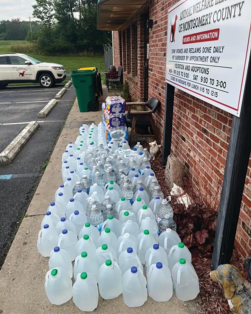 Community members left jugs of water at the Animal Welfare League.