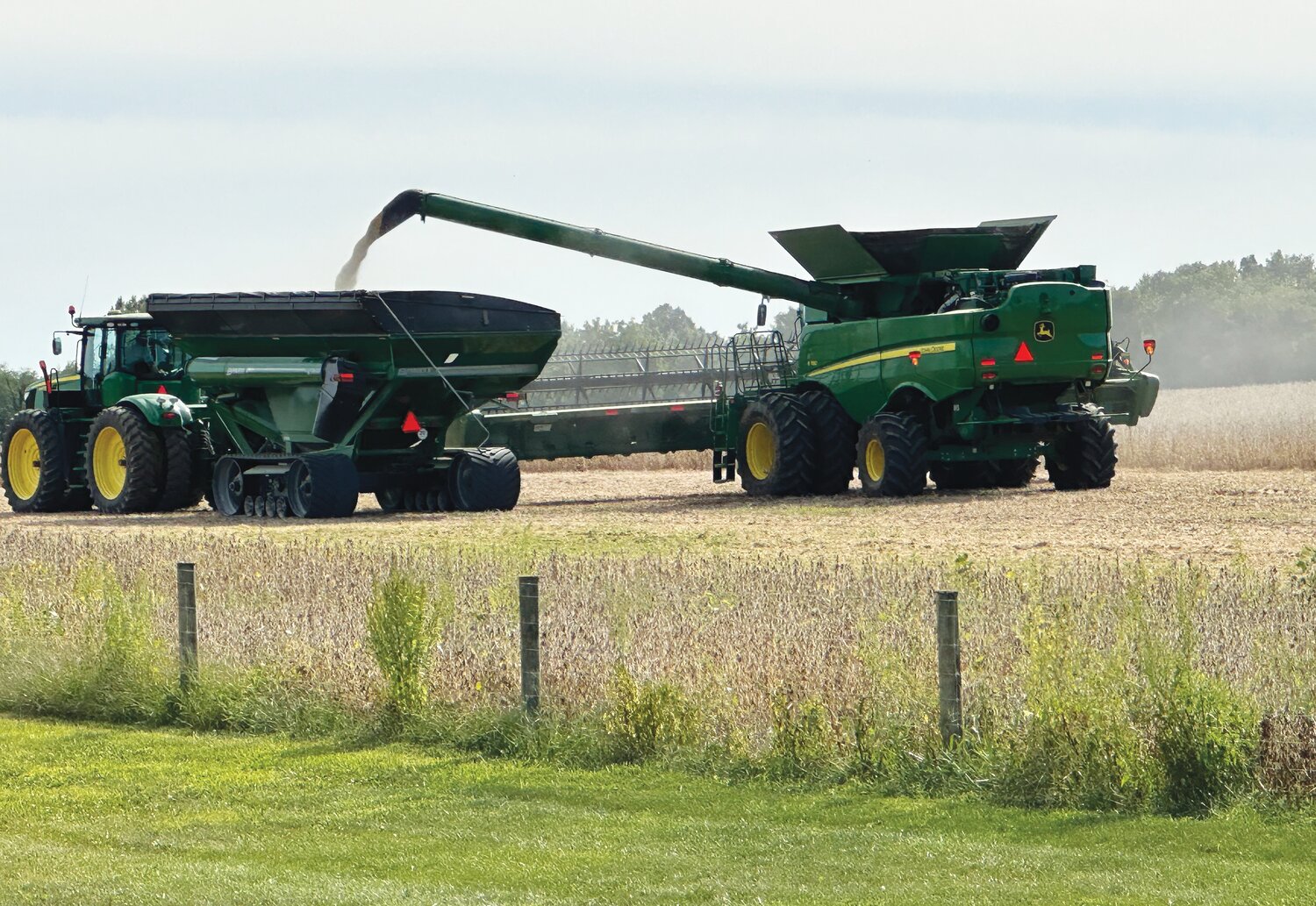 Creed Tolin, owner of Tolin Farms, made a test round earlier this week to begin this year's 2024 harvest. Farmers often do a test round to check the crop's moisture and quality and for any unforeseen equipment breakdowns. The Tolin Farm is a grain, cattle, and hay farming operation west of New Market. Creed Tolin is the grandson of the late Dan Rice. Tolin said, "This is a family operation, and I am grateful to be able to farm the land and raise our family on the farm."