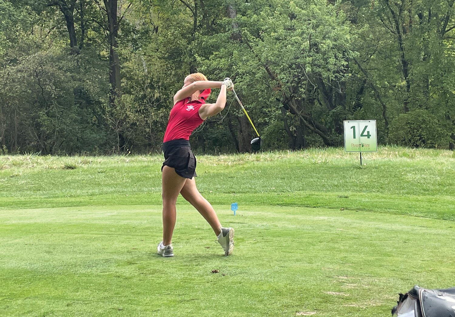 South's Addison Meadows tees off Friday at the state finals match in Carmel.