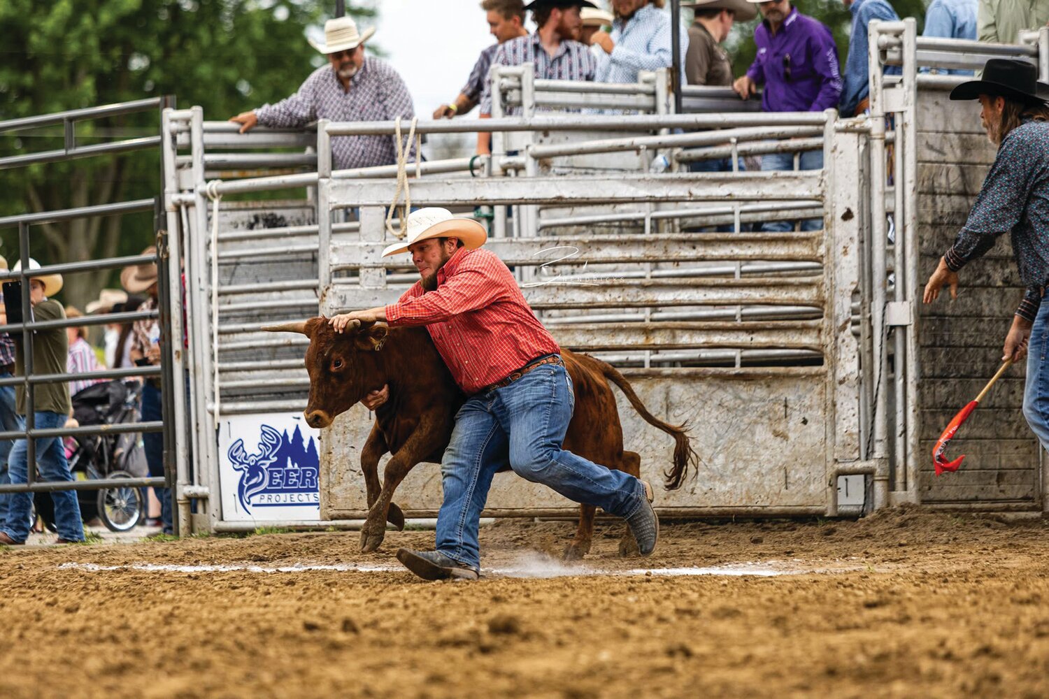 Local rodeo competitor Jordan Banta wrestles a steer in 2024 at PAC Midwest Rodeo.
