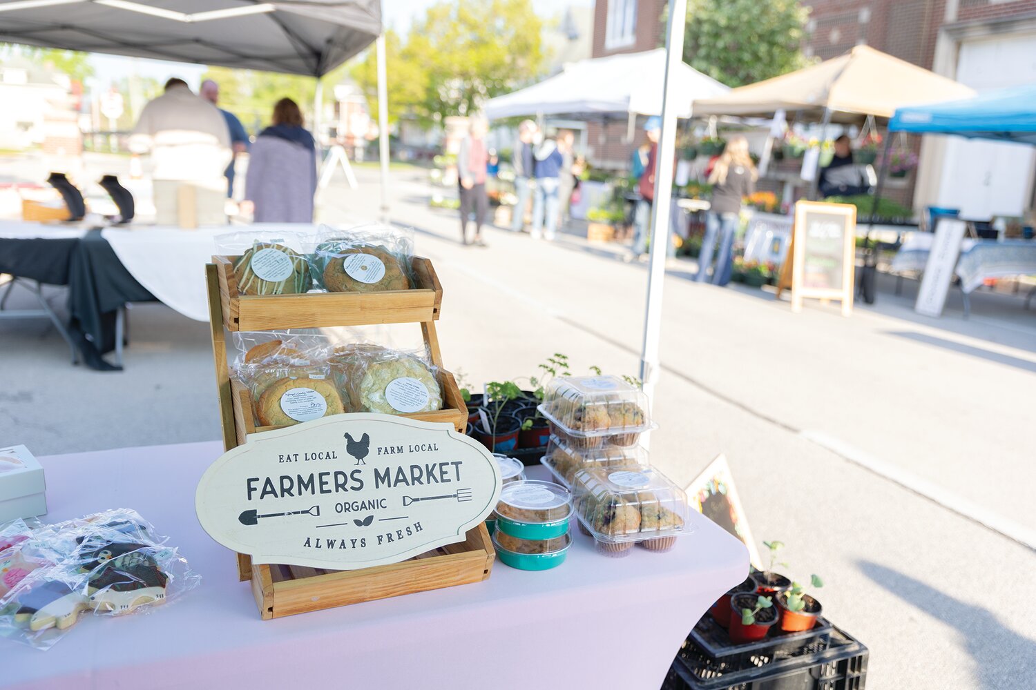 First Farmer's Market of the season. May 3, 2025.