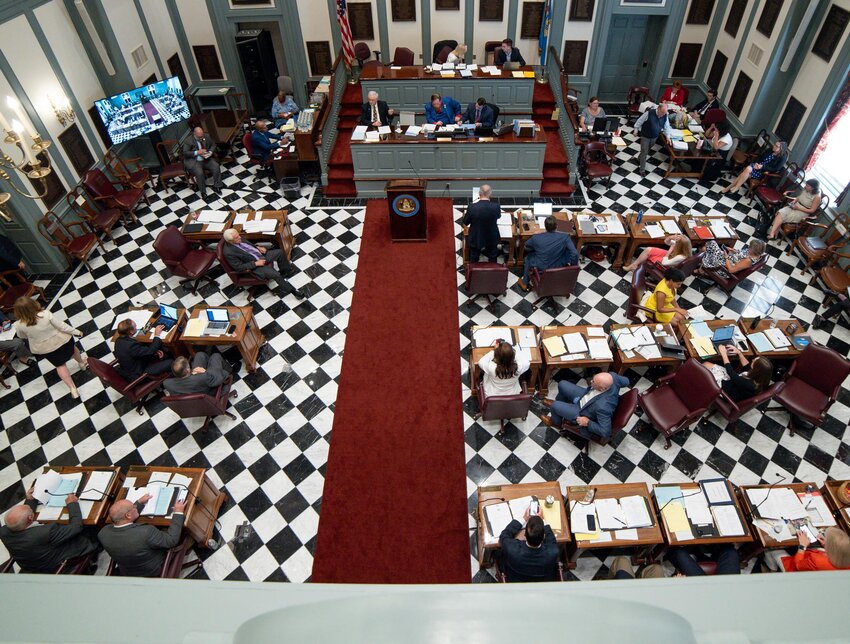 A view of the action on the Senate floor at Legislative Hall in Dover on Friday.