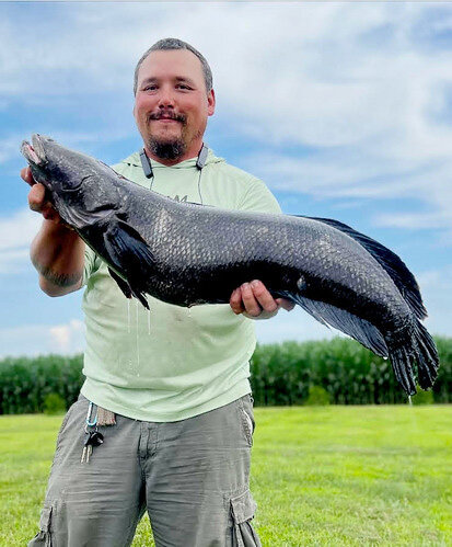 Angler Damien Cook of Dorchester County with his state record Northern snakehead.