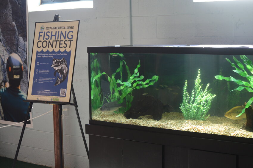 DNREC Announces 'Take a Kid Fishing!' Spring Events - State of Delaware News
