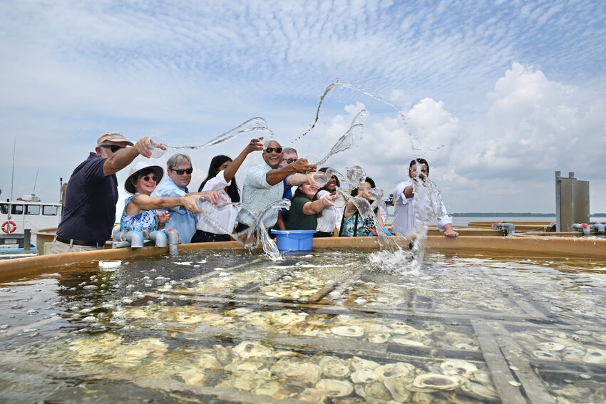 At the University of Maryland&rsquo;s Center for Environmental Science at Horn Point, Gov. Wes Moore and other state officials throw oyster larvae into a tank with shells.